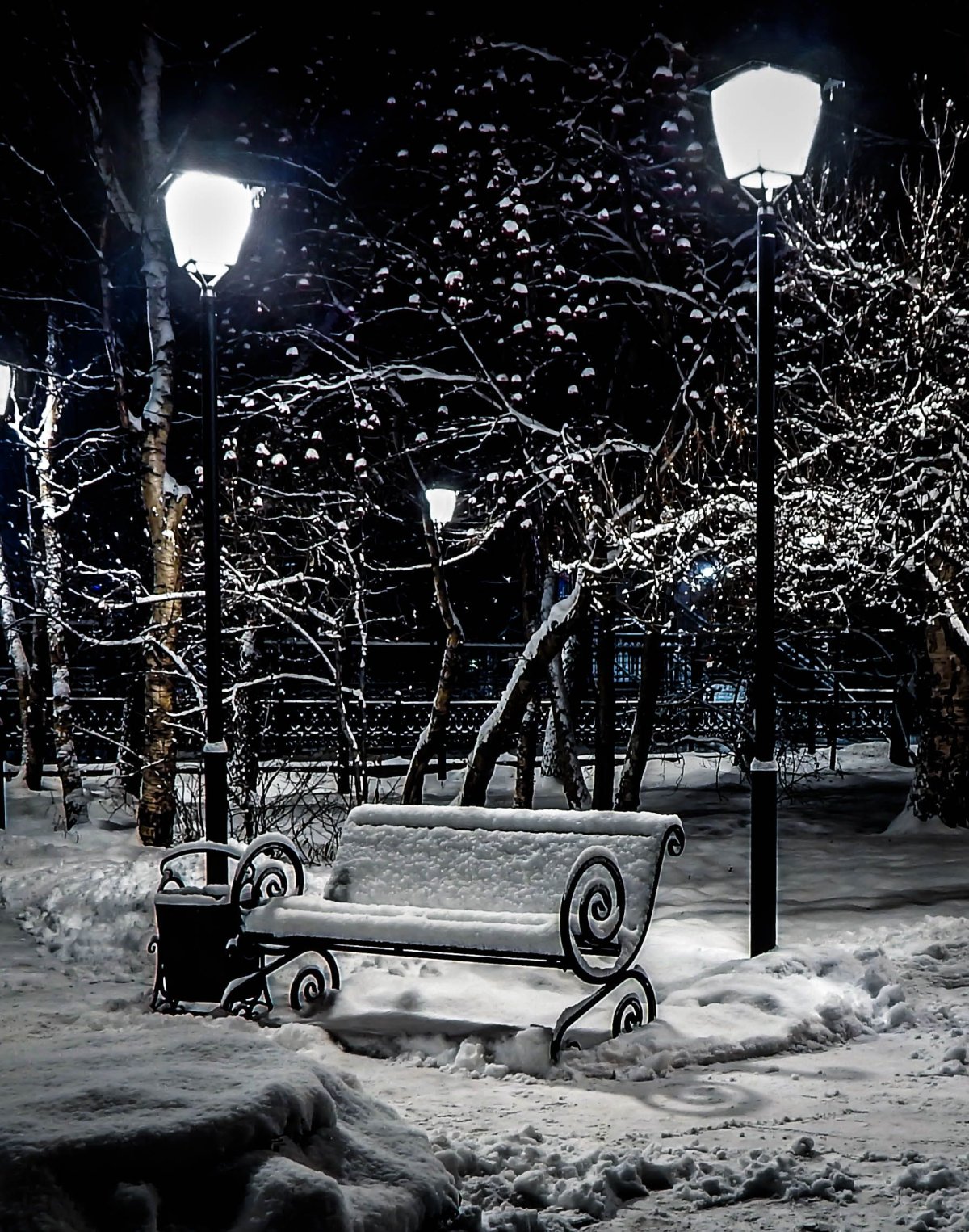 Зимний парк с фонарями