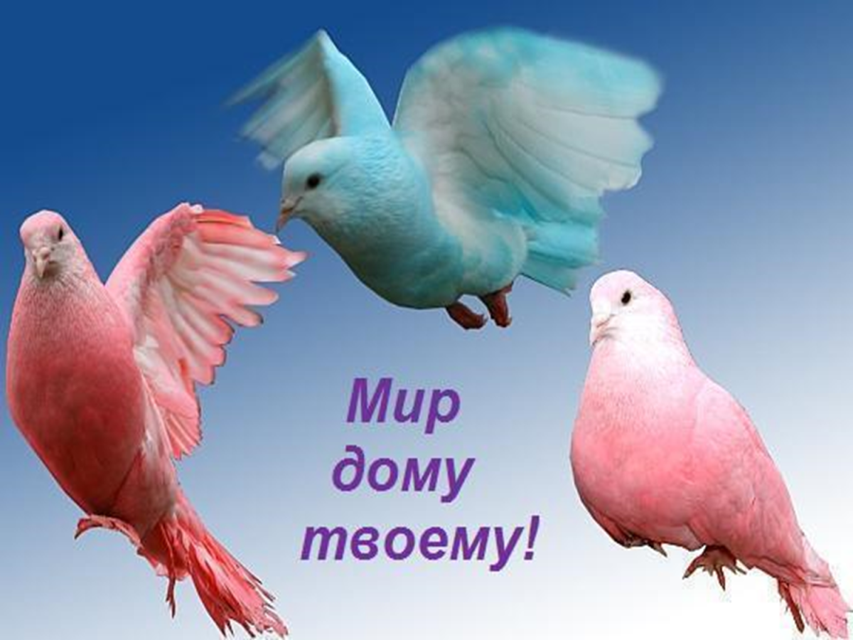 Мир дому твоему