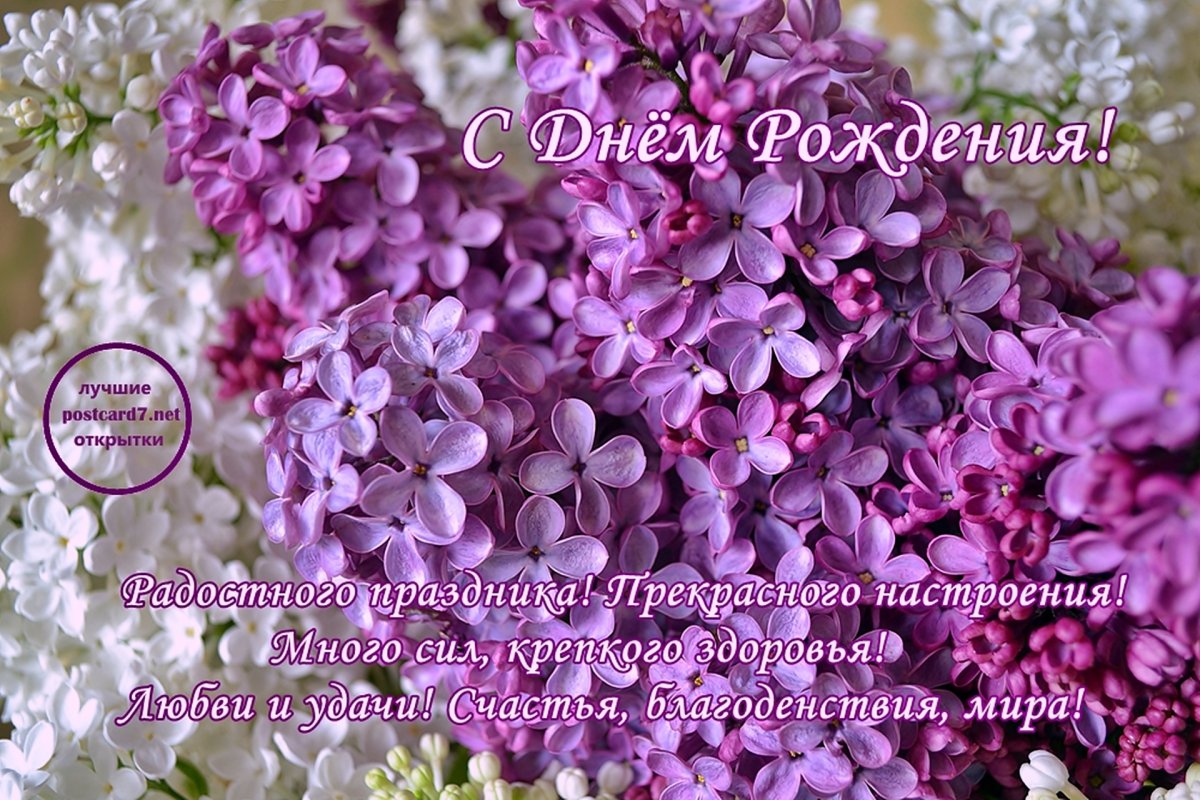 Изобилие радость богатство