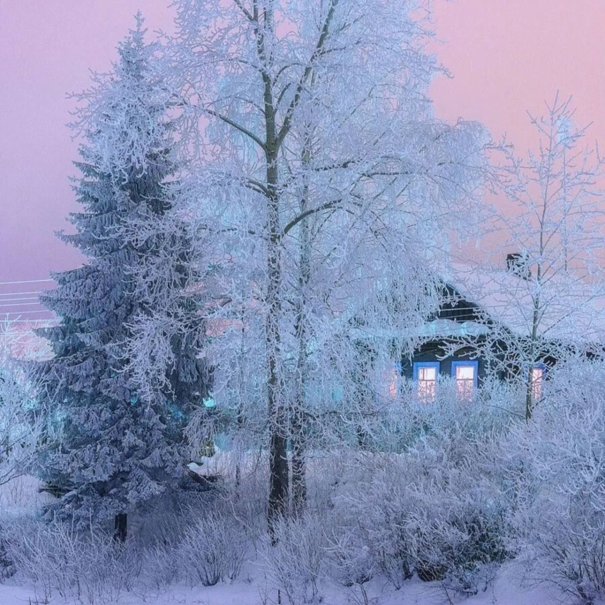 Белая Холуница зима