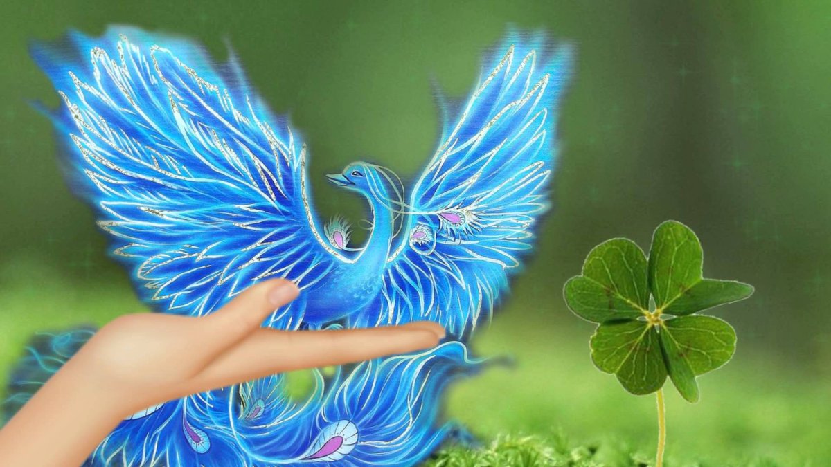 Волшебная птица