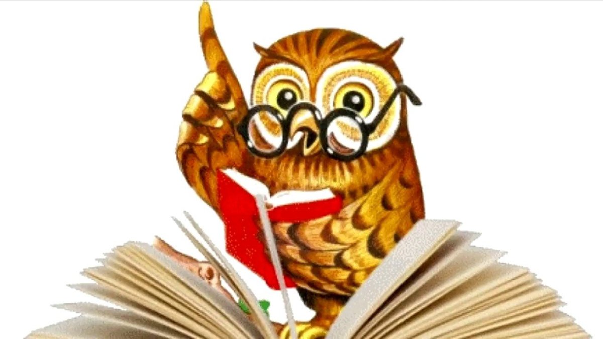 Мудрая Сова