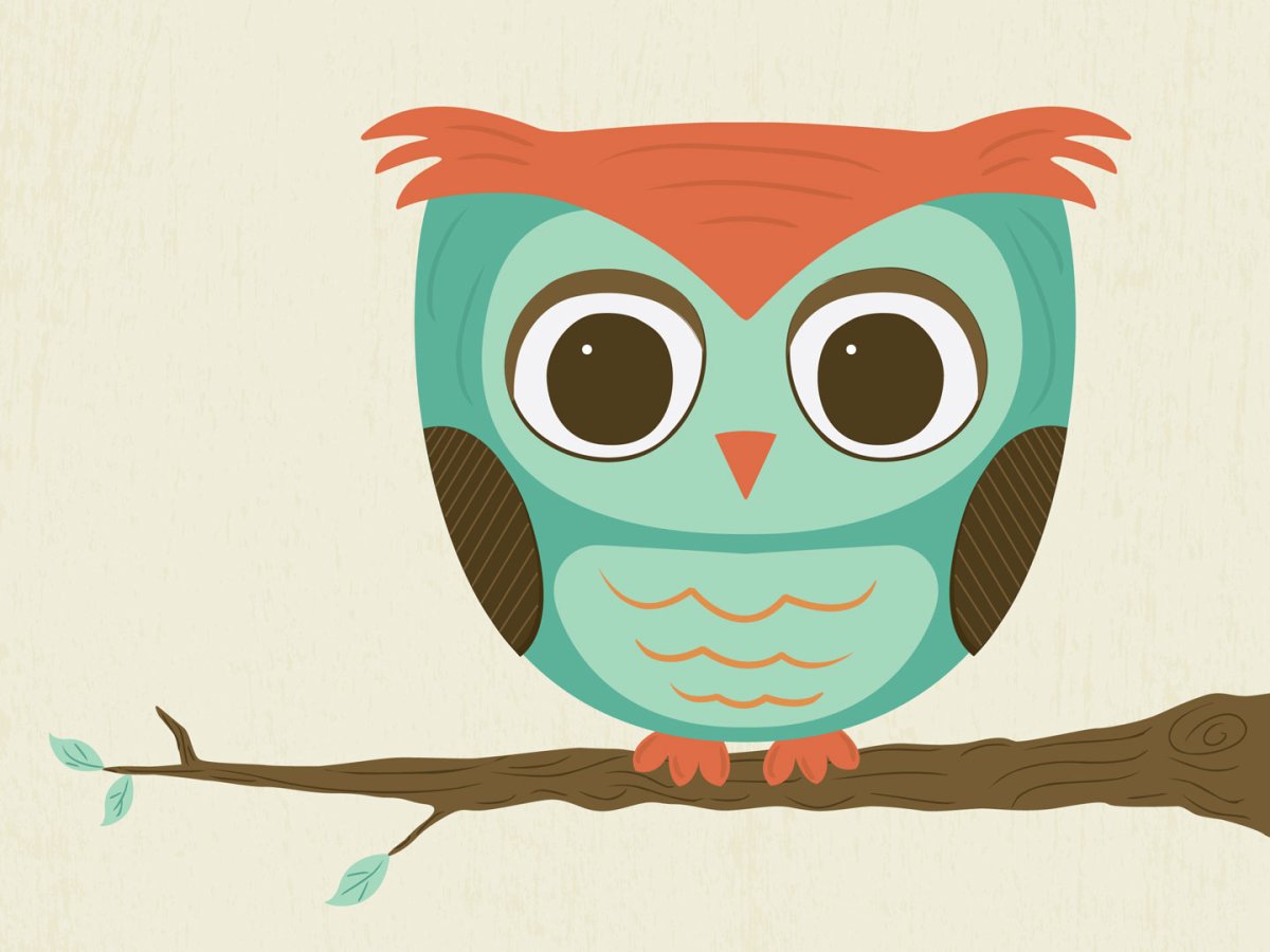 Сова рисунок