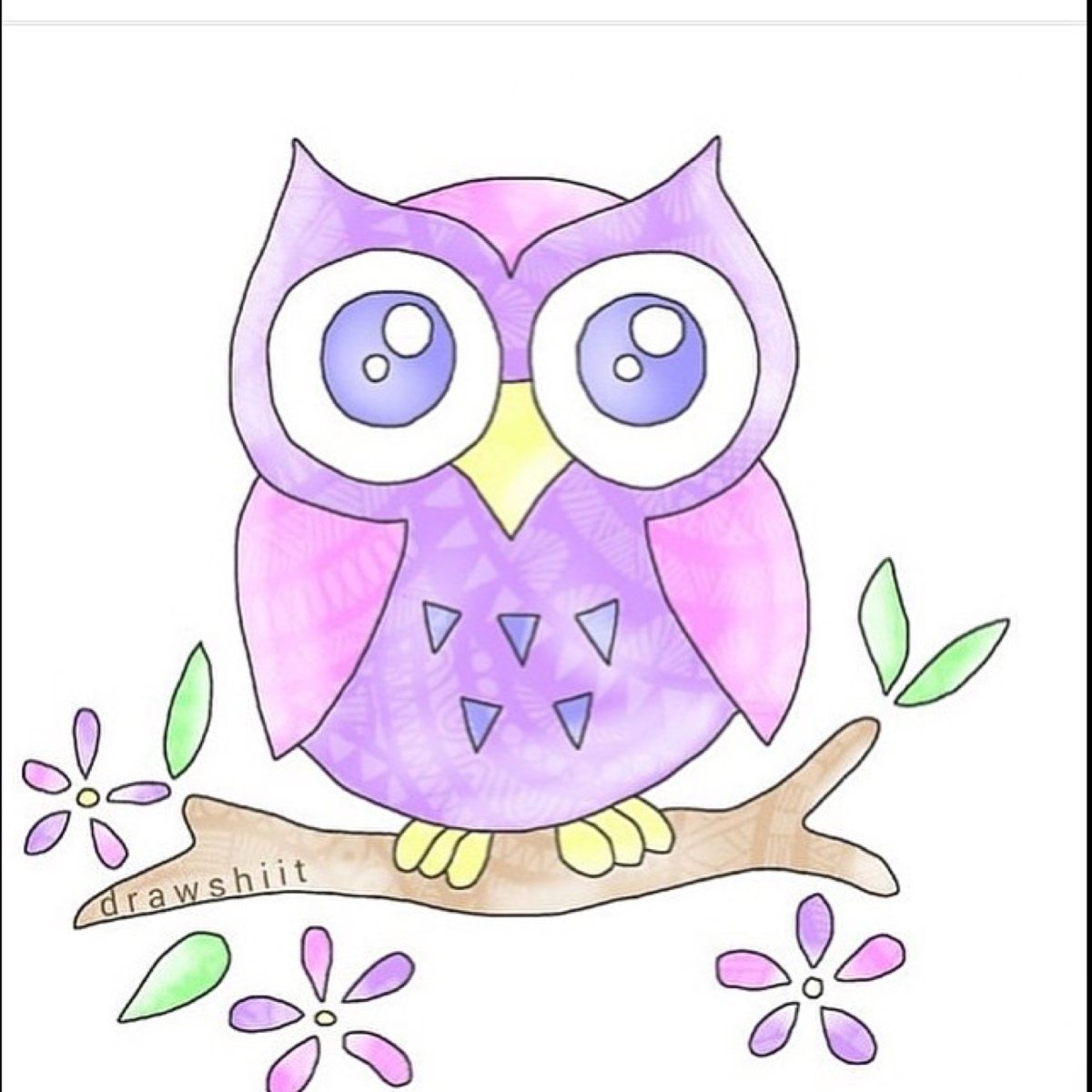 Милые Совушки для срисовки
