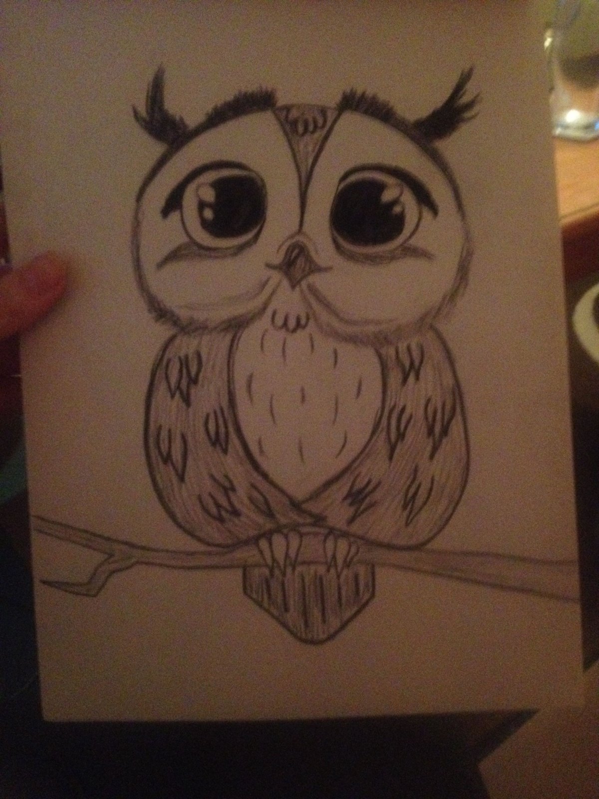 Картинки для срисовки лёгкие Совы