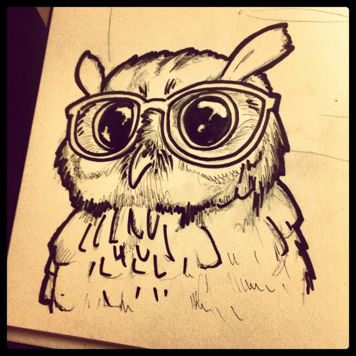 Сова для срисовки