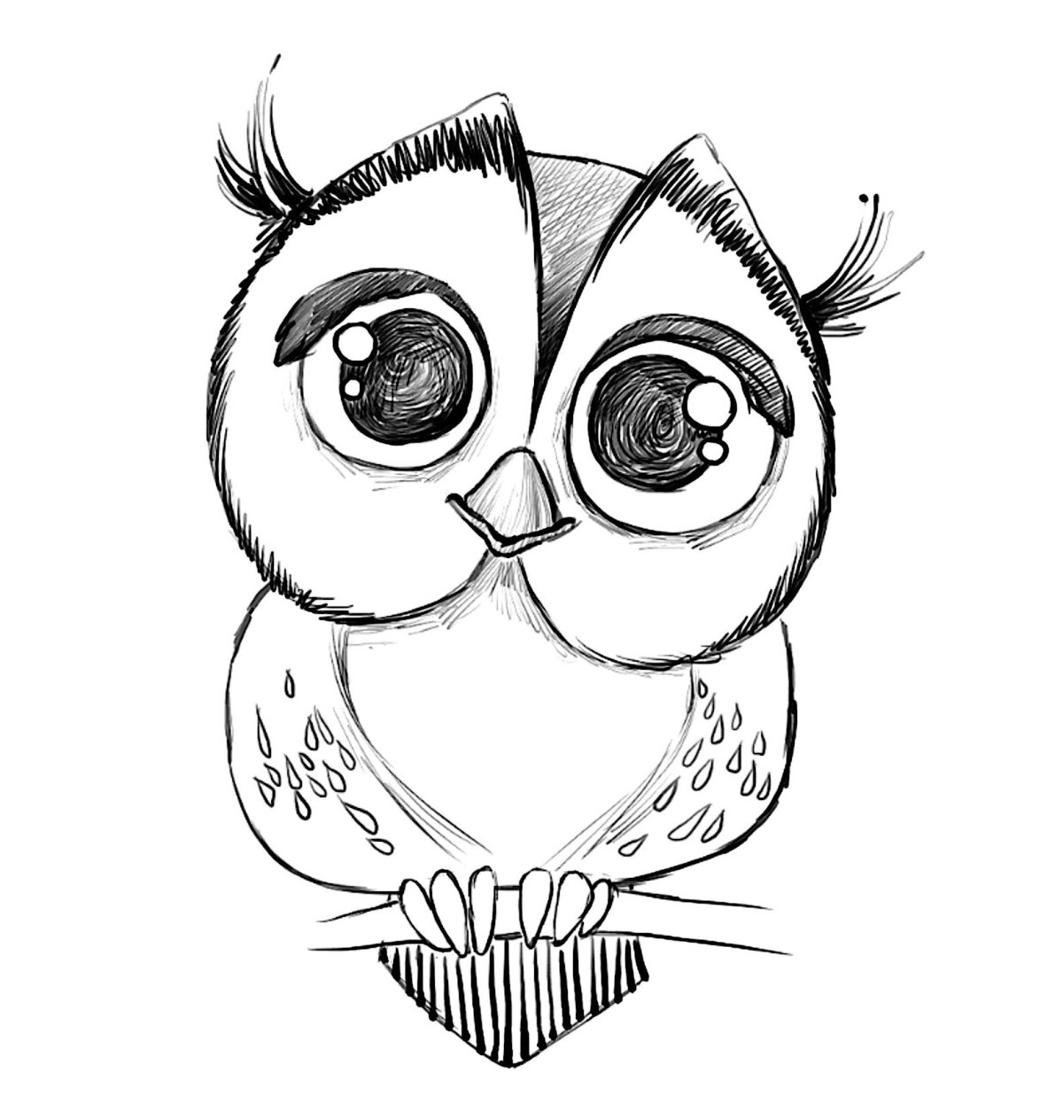 Совы мультяшные