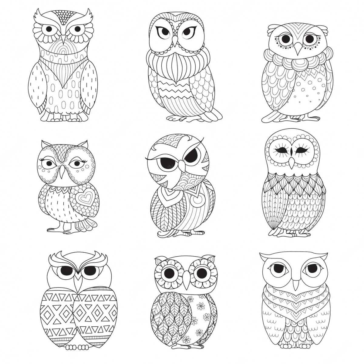 Раскраски Совушки маленькие