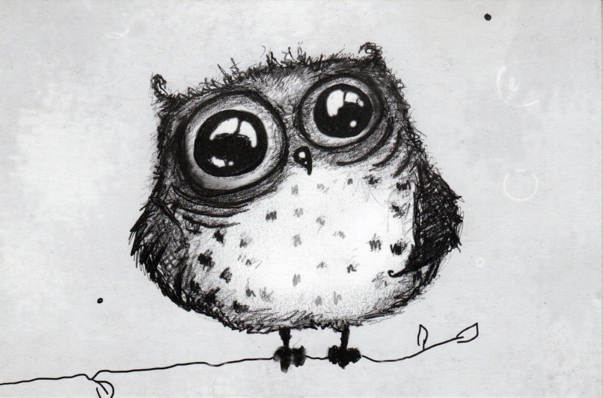 Милые картинки черно белые