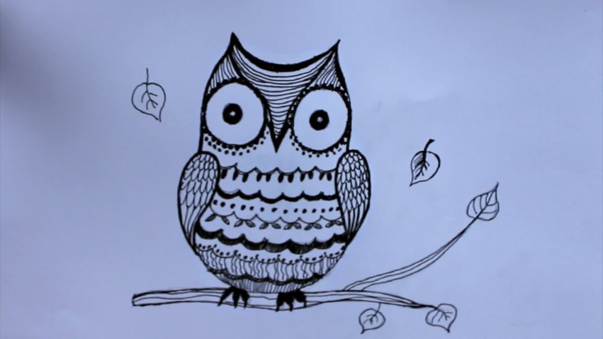 Сова рисунок для срисовки
