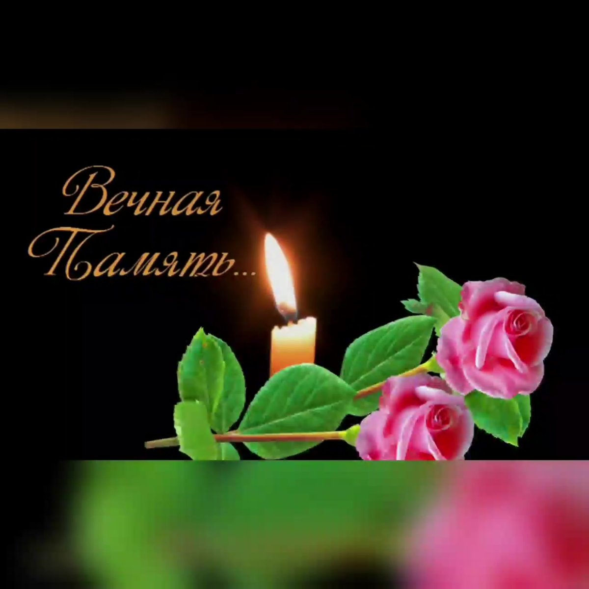 Пусть ангел хранит тебя