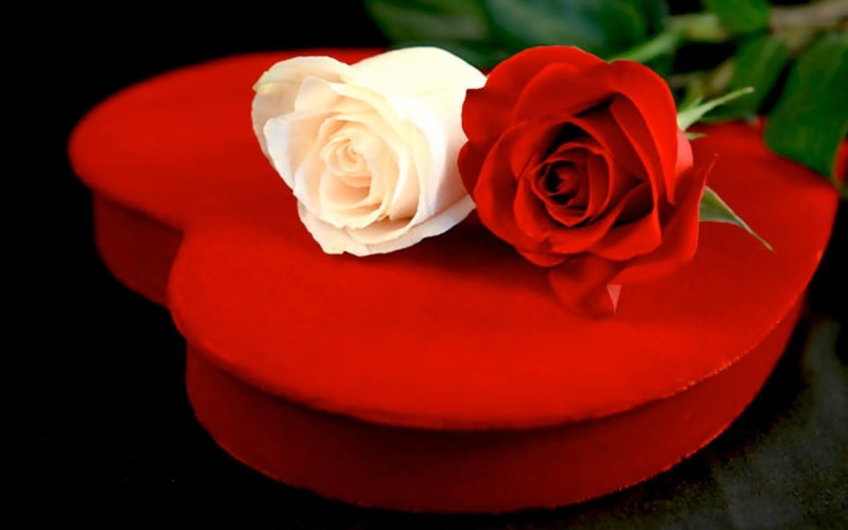 Вечная память