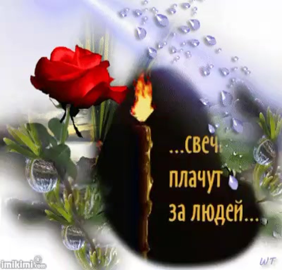 Букет роз для тебя