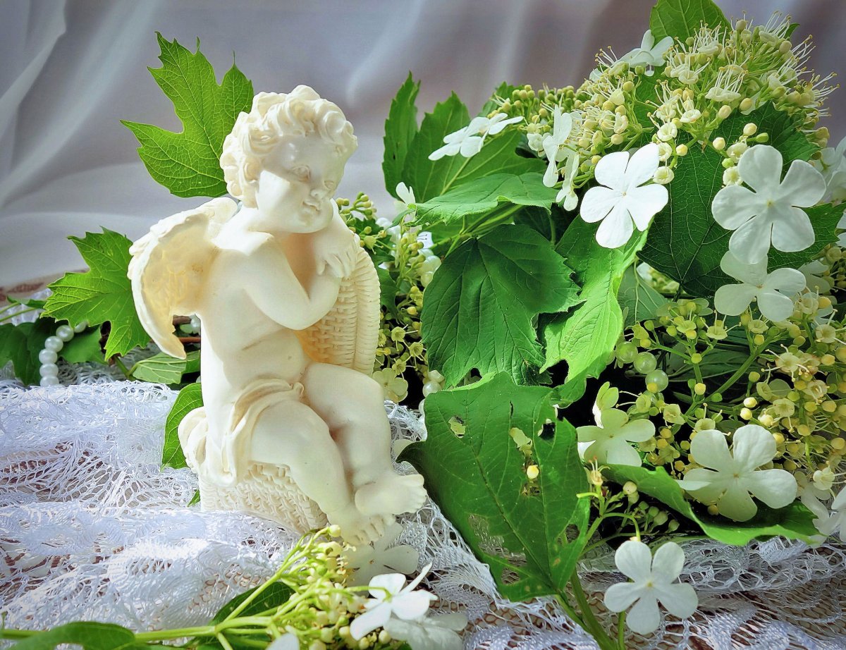 Светлая память