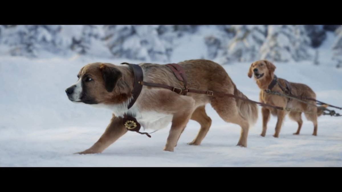 Зов дикой природы Джек Лондон