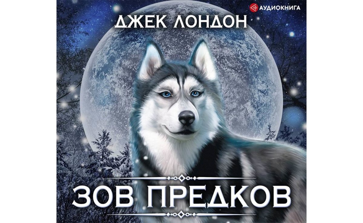 Декабрь черно белая