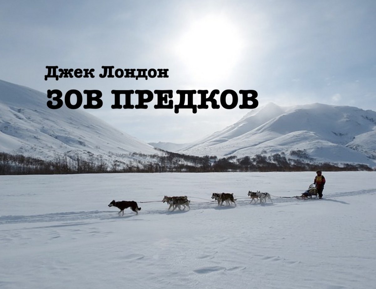 Зов предков фильм 2020 Омар си