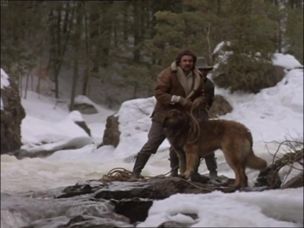 Зов предков 2020 Постер