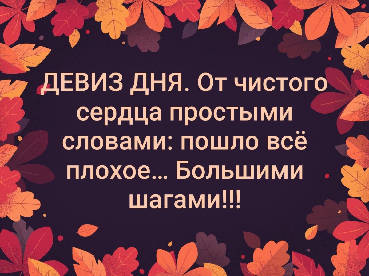 Позитивный лозунг на день