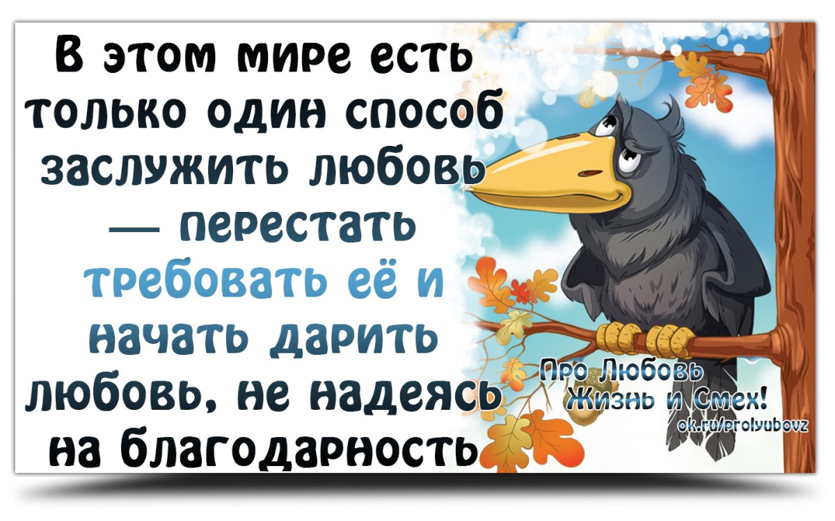 Смешные статусы