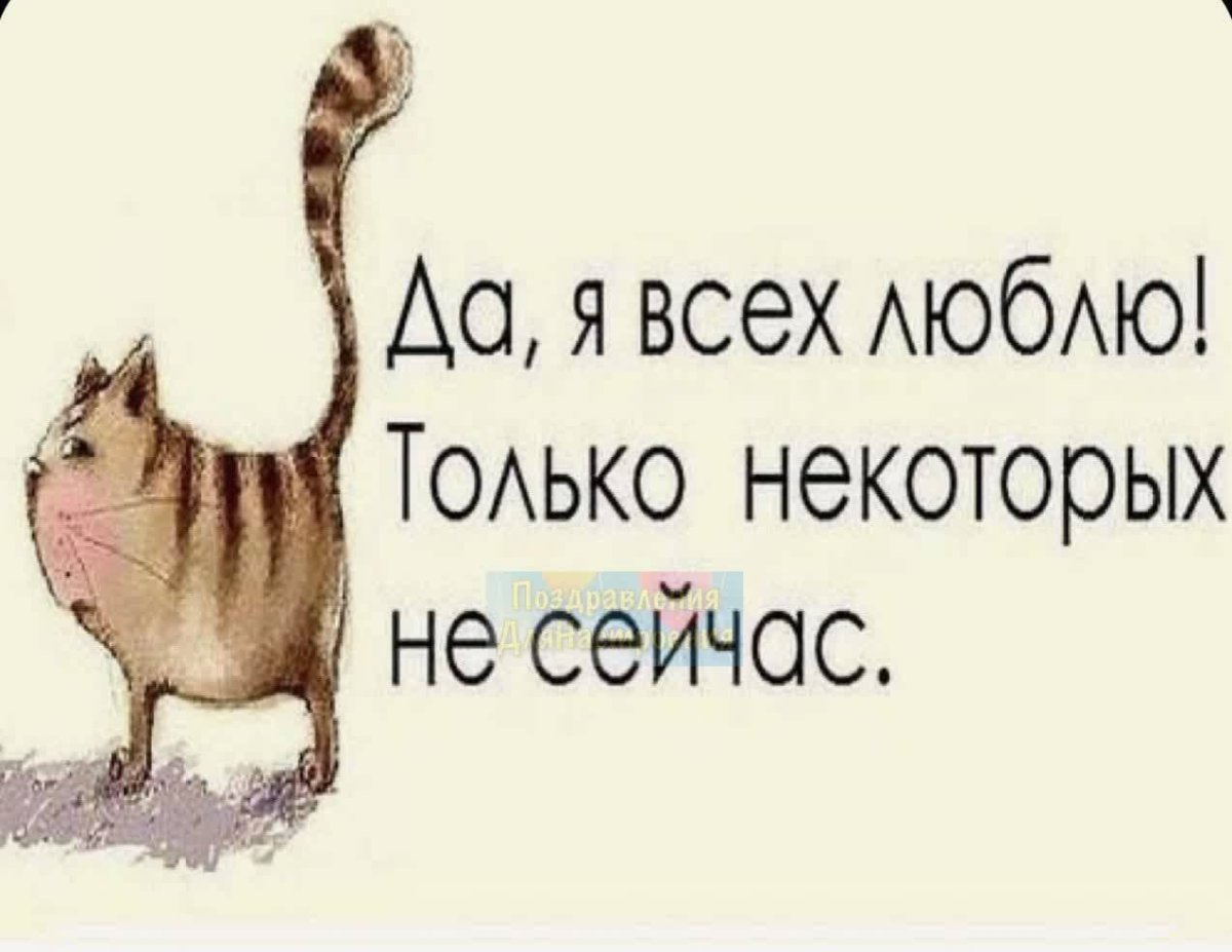 Доброе утро сарказм в картинках