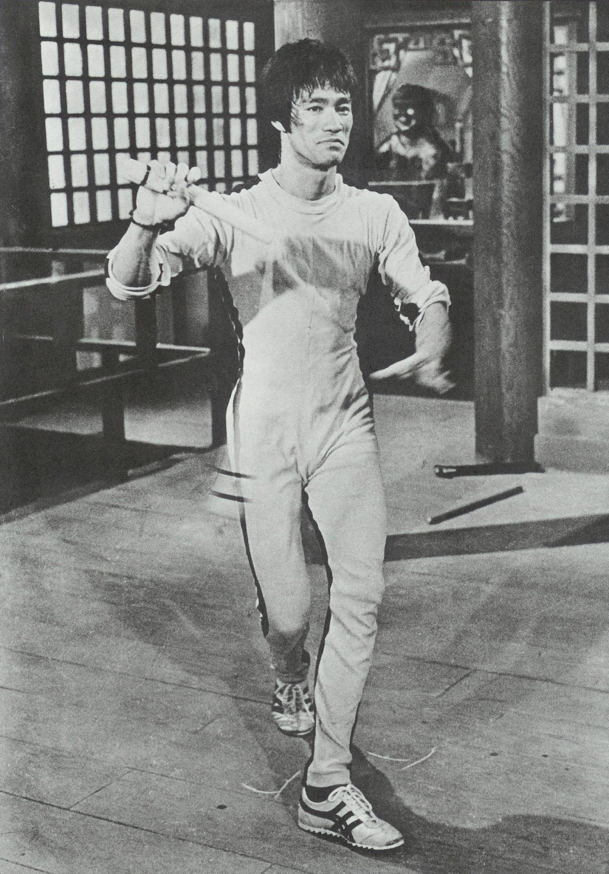 Брюс ли боевые искусства