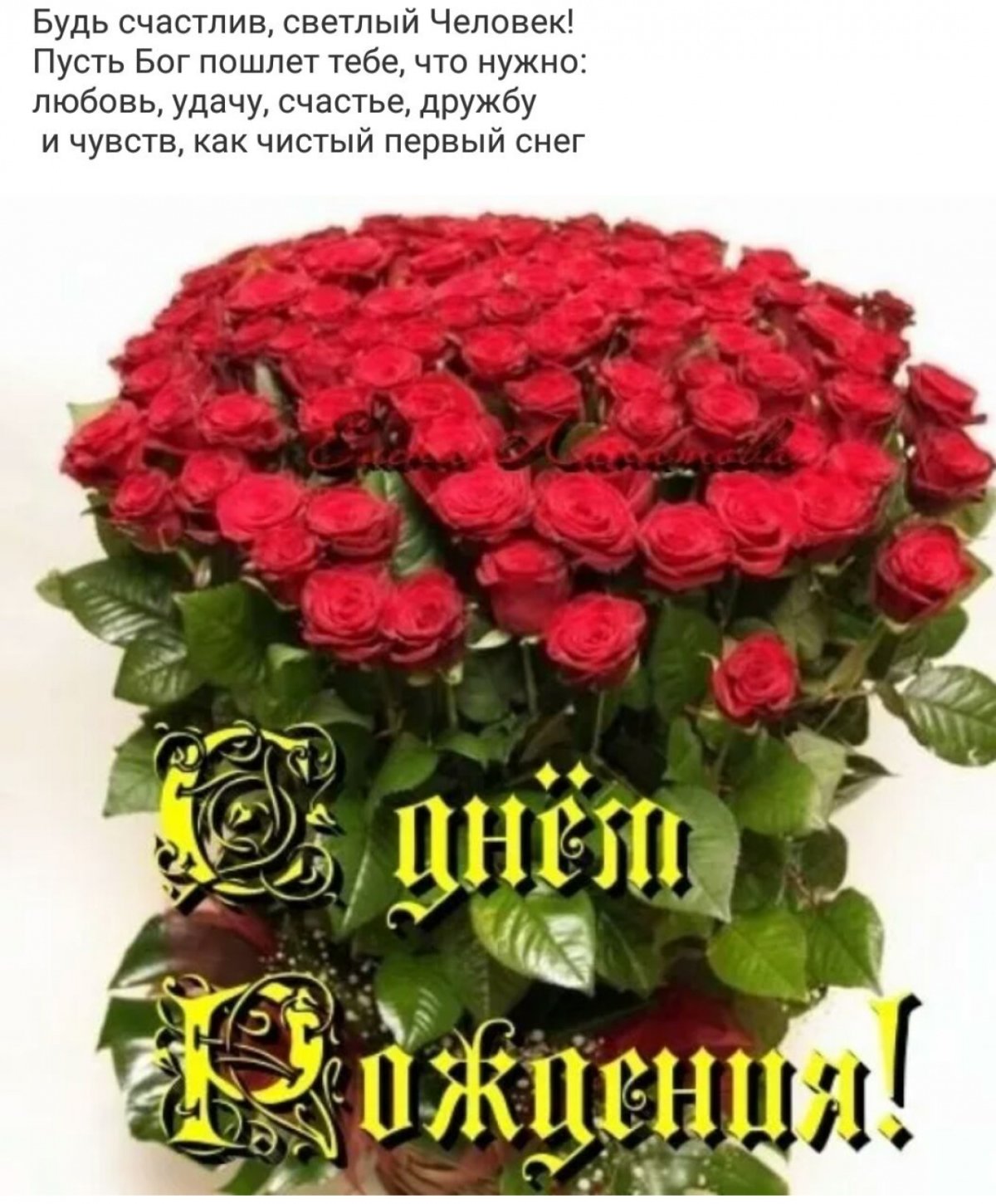 С днём рождения Лена