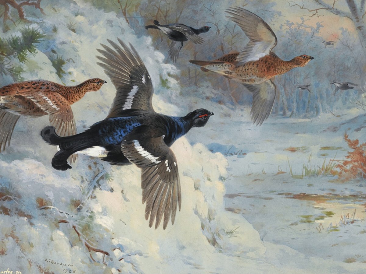 Торберн Арчибальд живопись