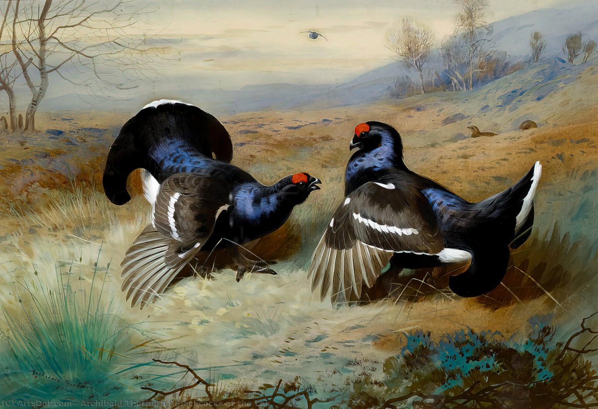 Арчибальд Торберн картина Сокол