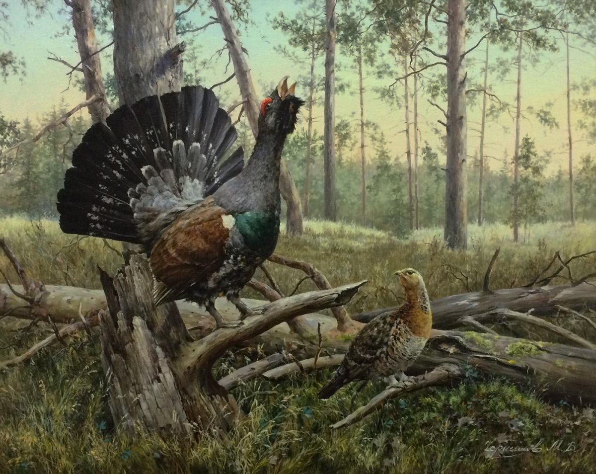 Картины ток глухариные ток тетеревины художников