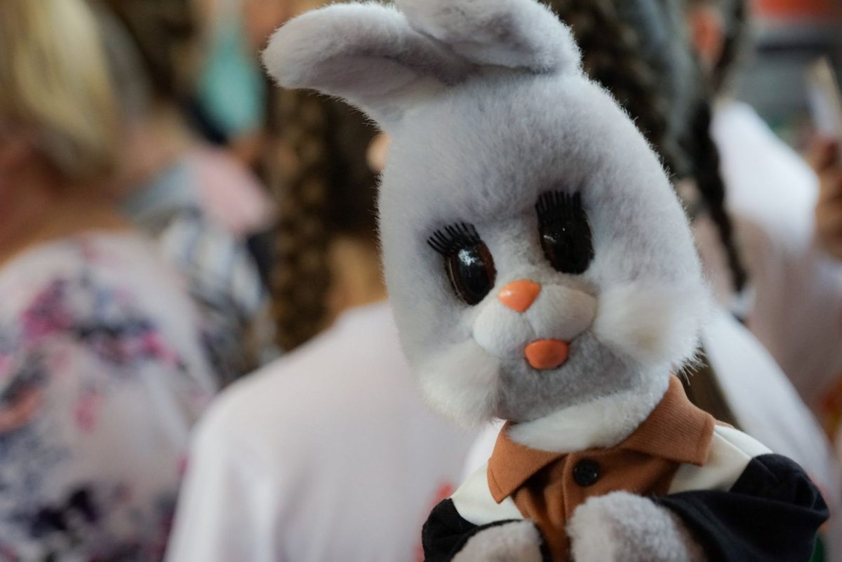 Степашка КС го