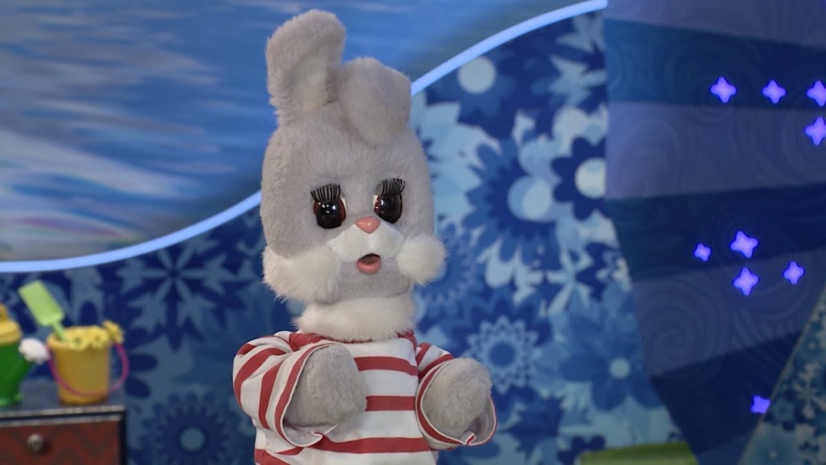 Группа Степашка