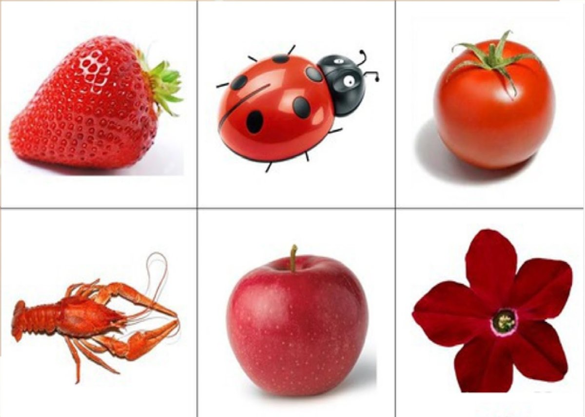 Красные предметы для детей