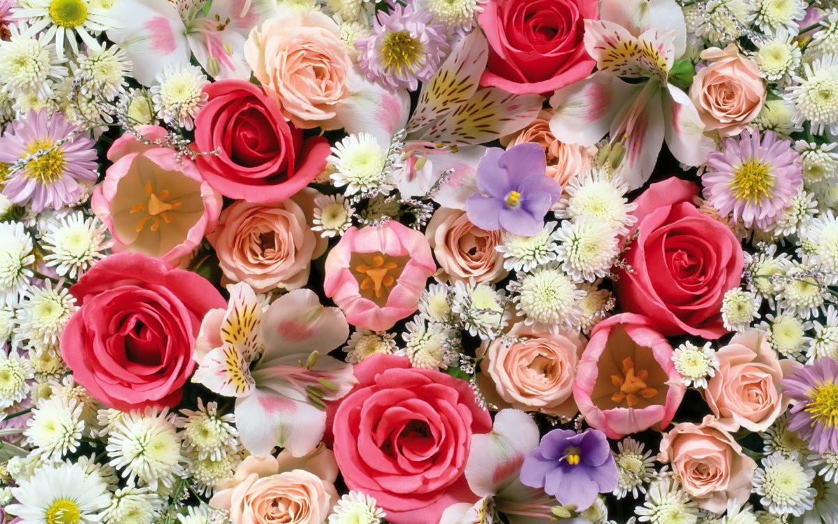 Много разных цветов