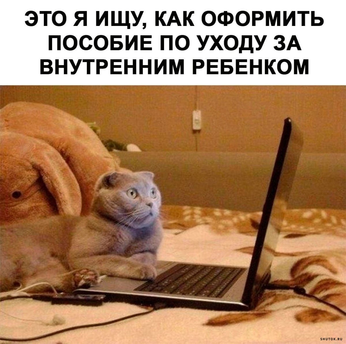 Открытки с приколами и надписями