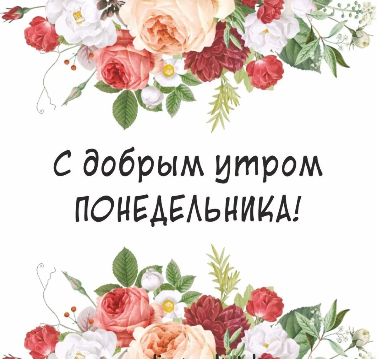 С добрым утром понедельника