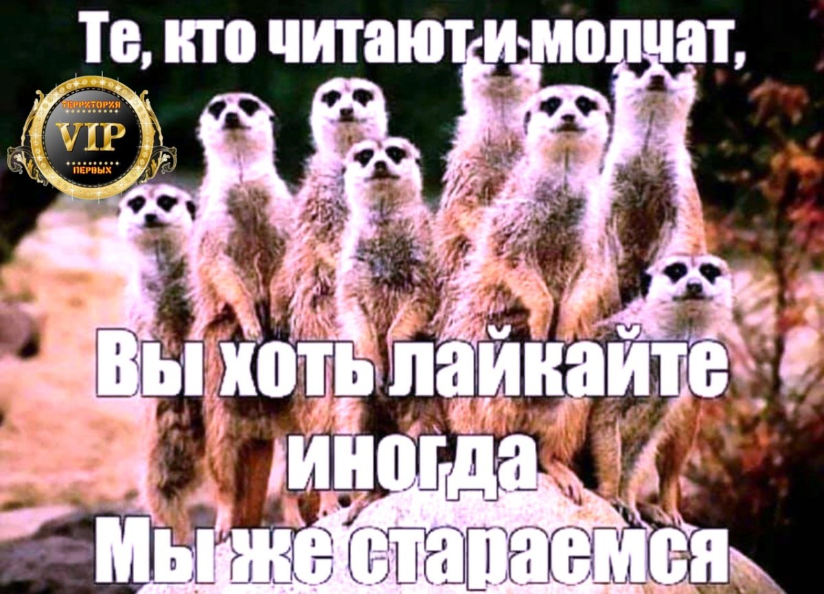 Я скучаю по тебе