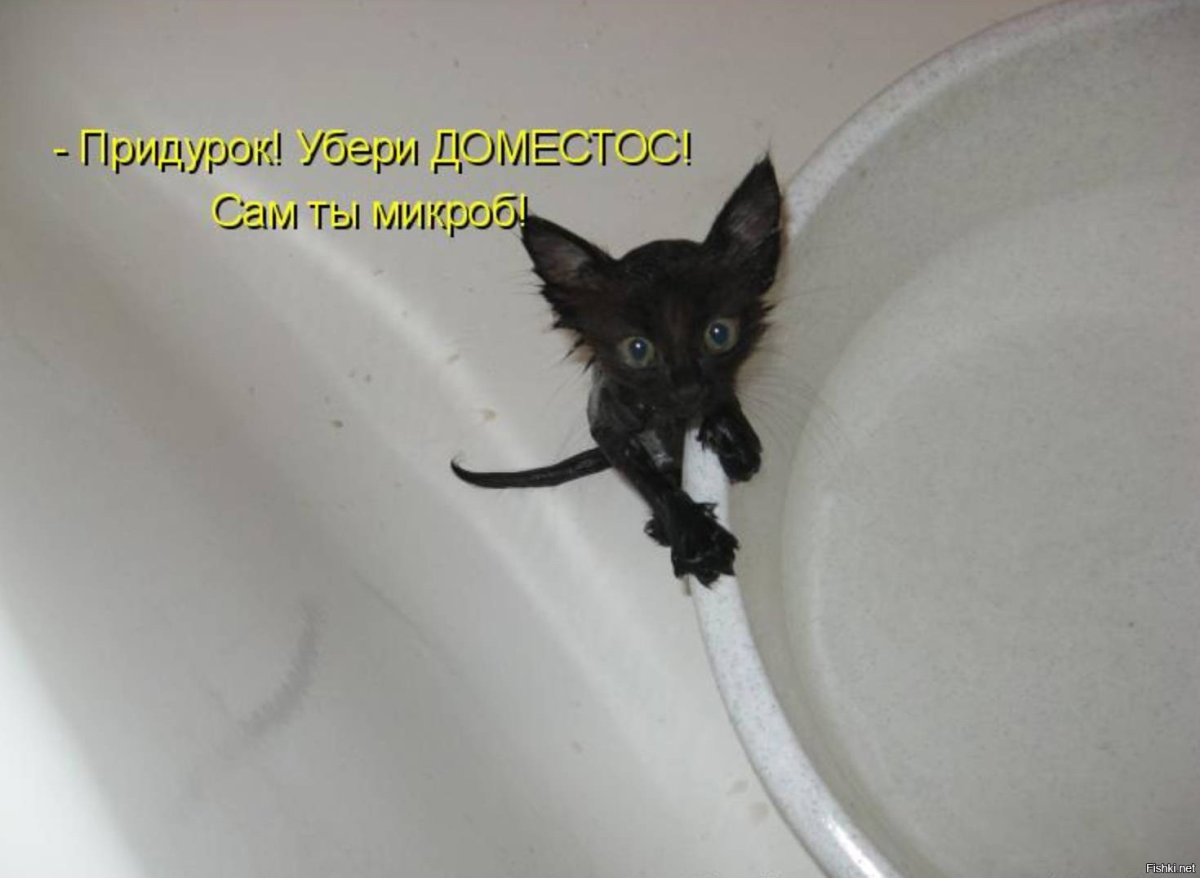 Отпуск аватарка