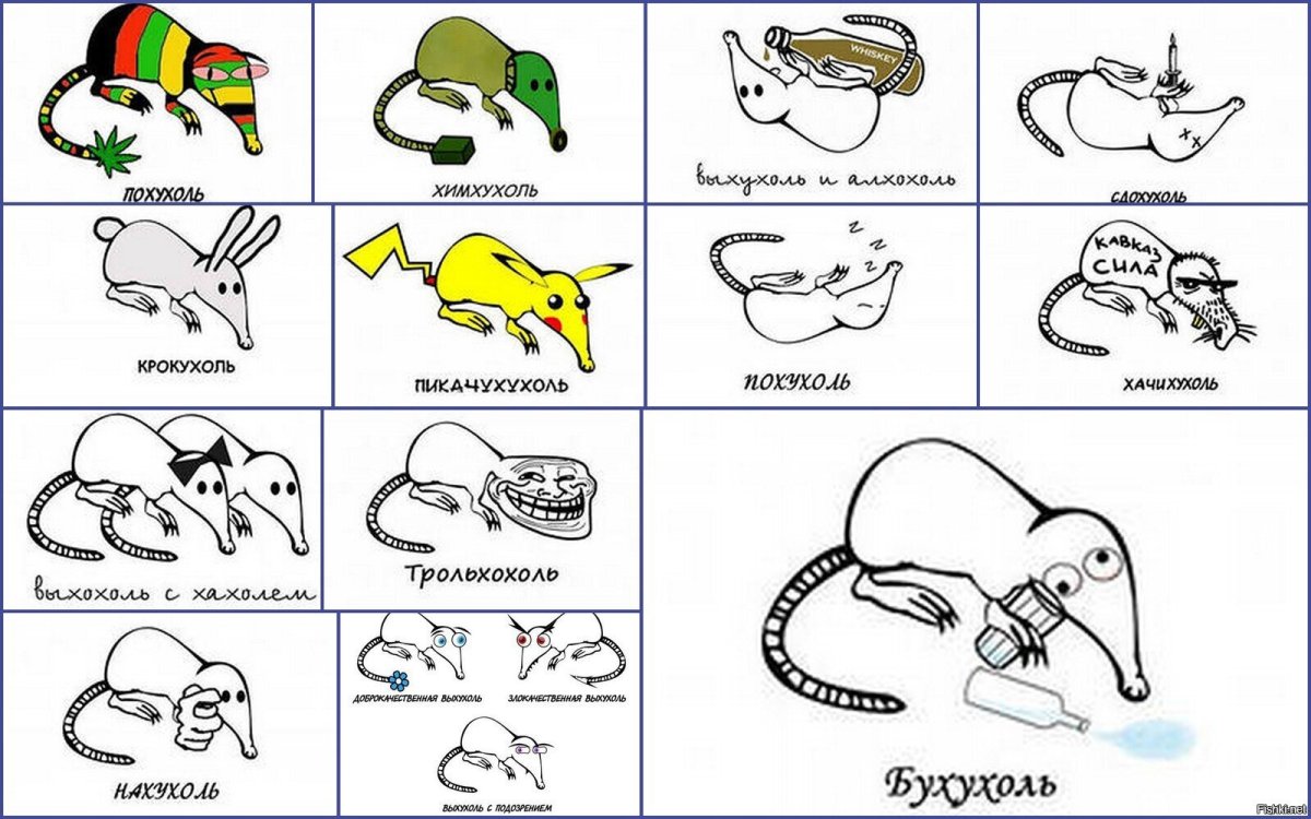 Похухоль и нахухоль