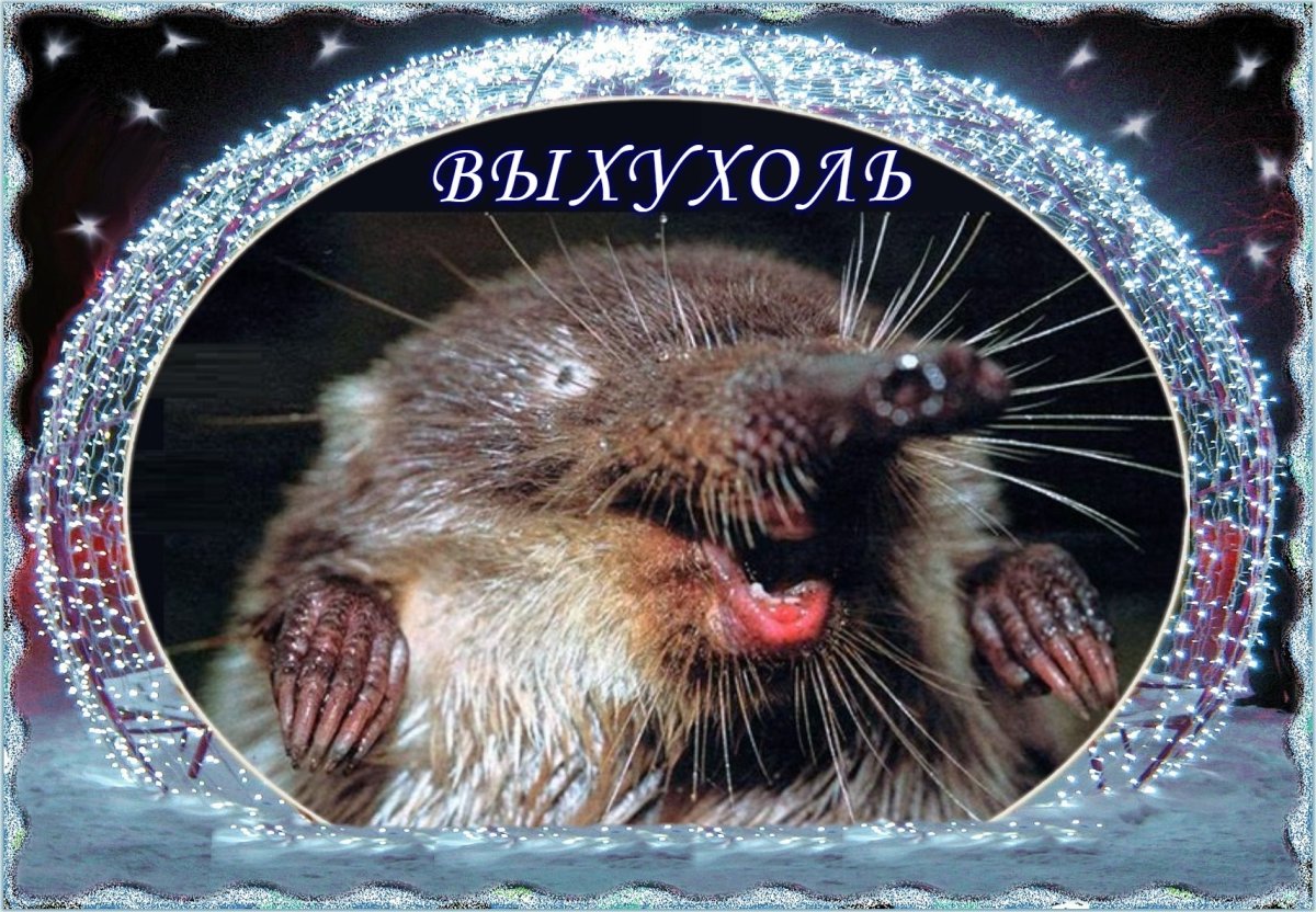 Веселая выхухоль