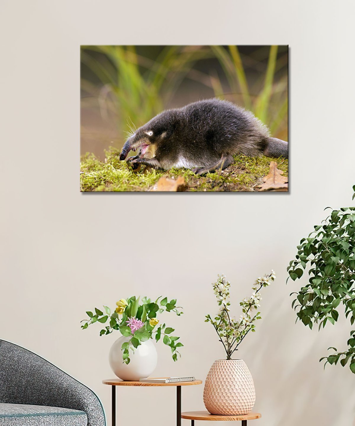 Выхухоль Справедливая Россия