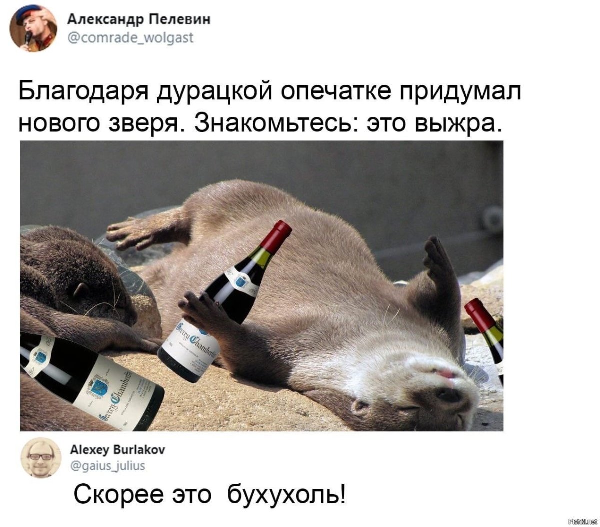 Пиренейская выхухоль