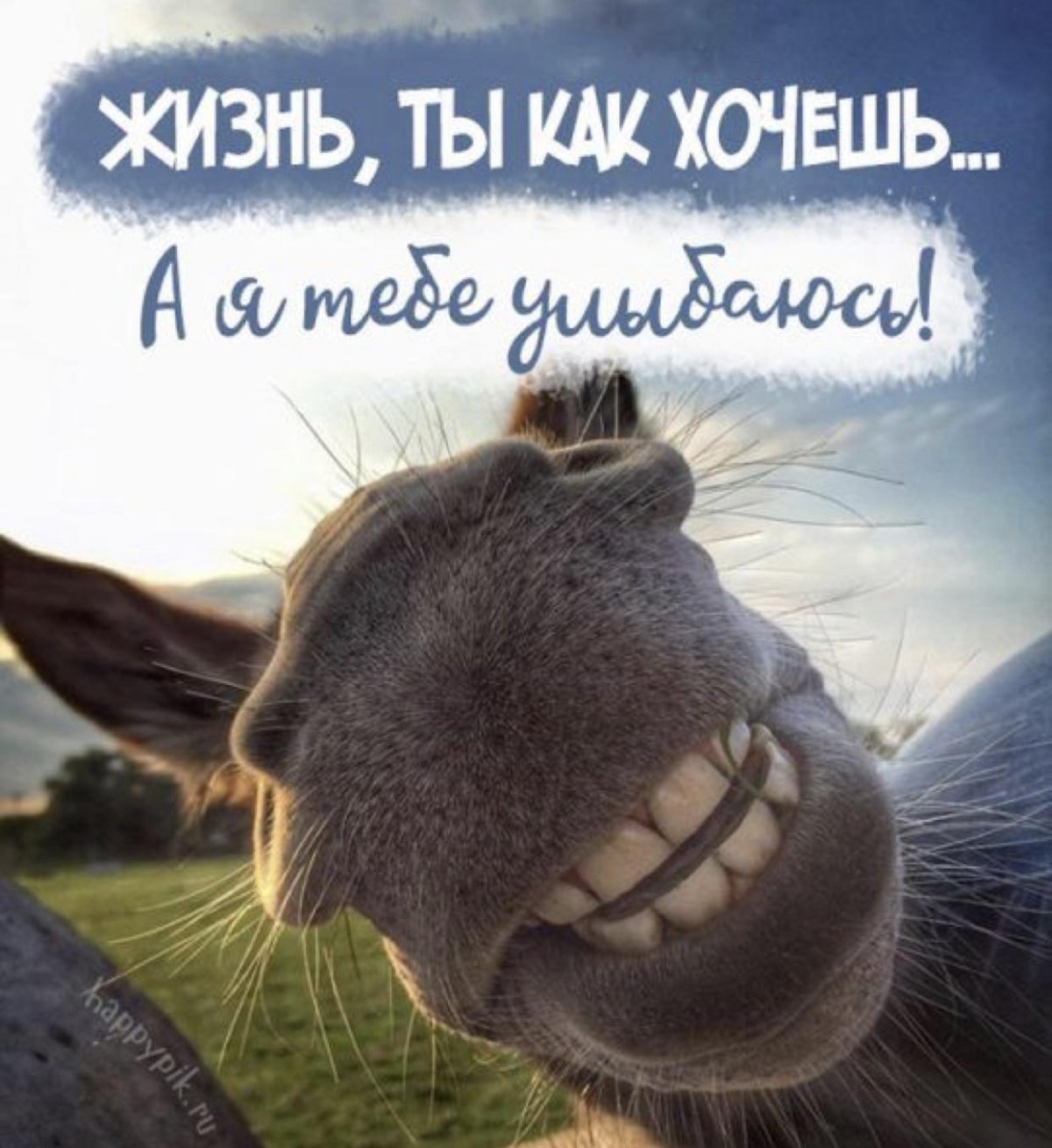 Улыбнись жизнь прекрасна