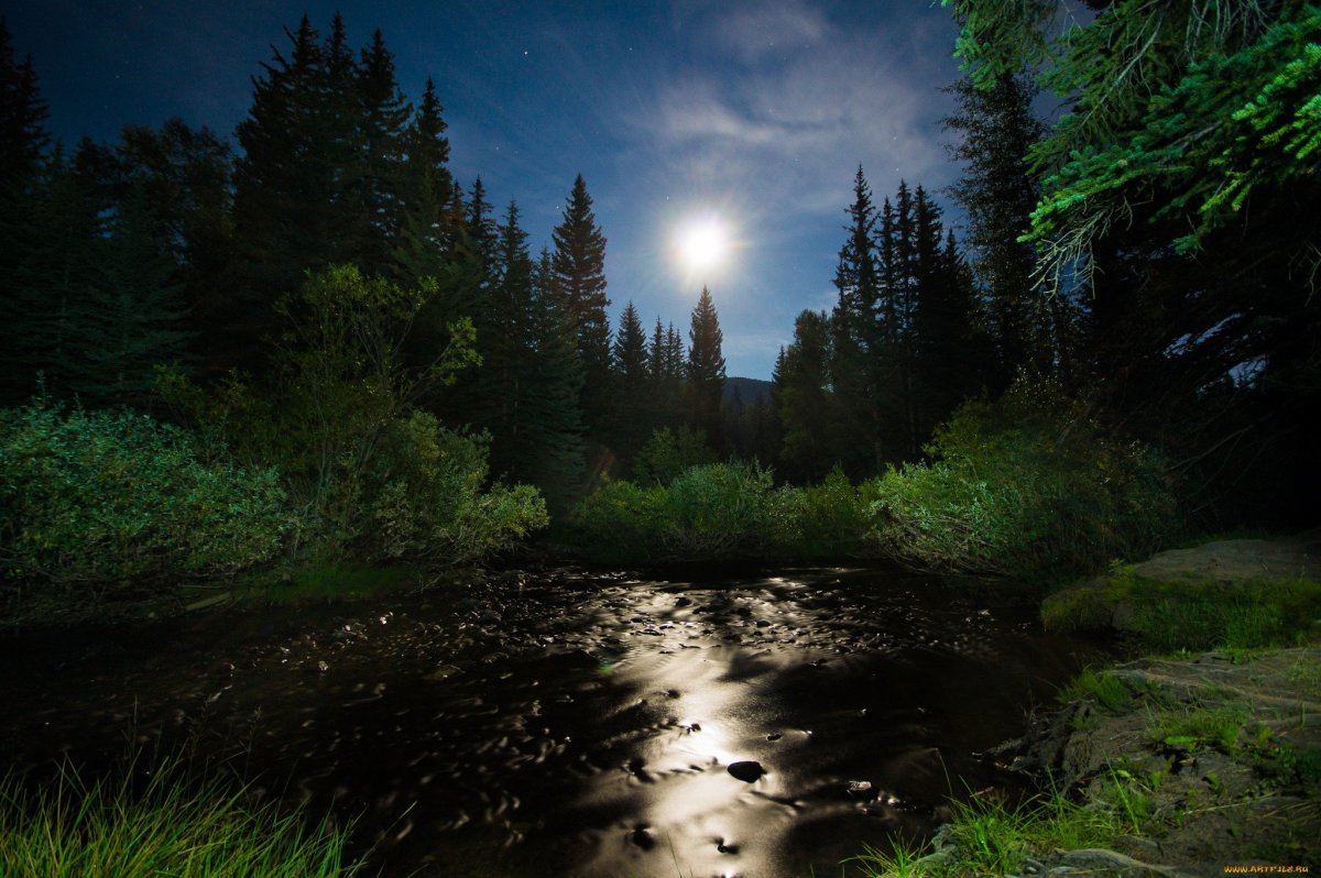 Лунная ночь