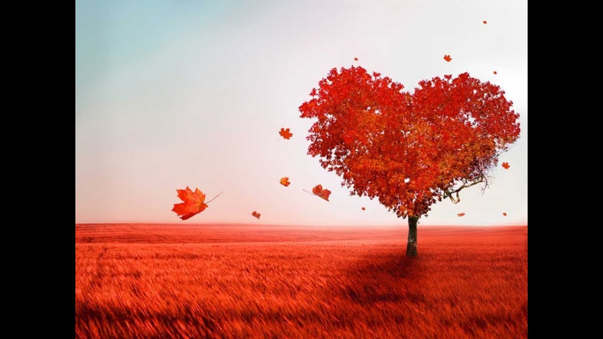 Скучаю по тебе