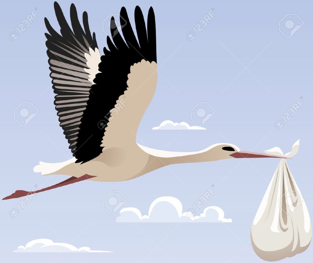 Летящий Аист рисунок