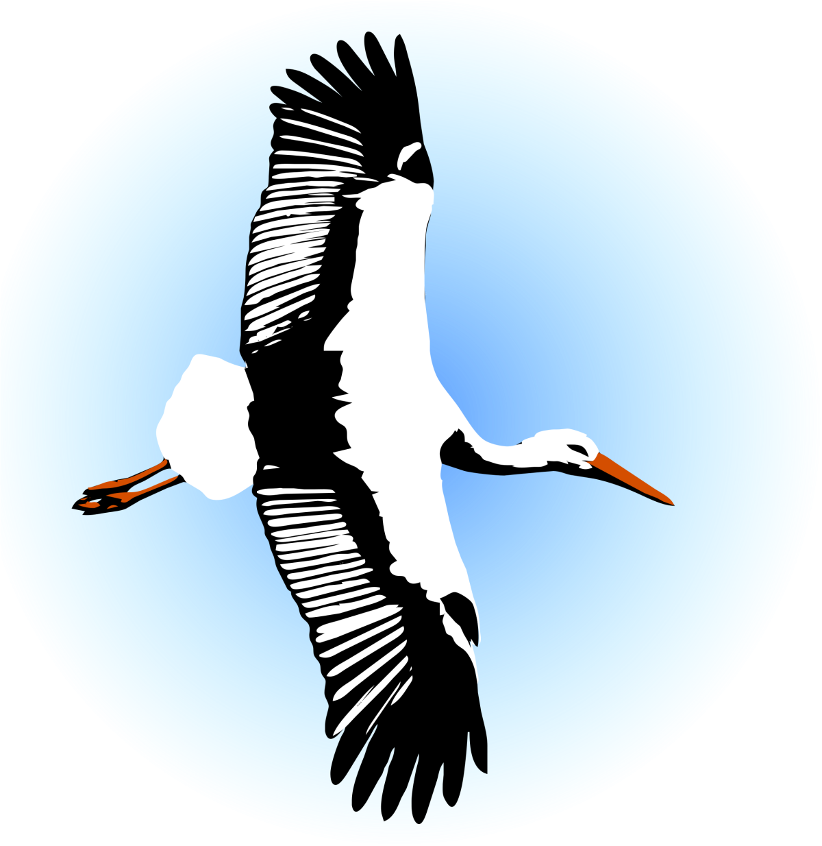 Аист рисунок