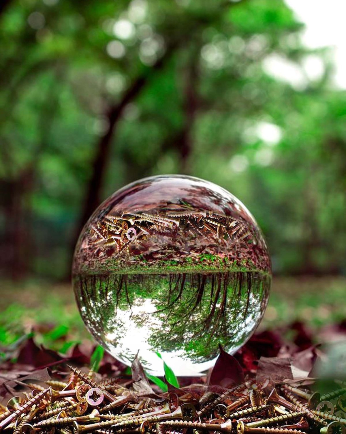 Красивый стеклянный шар