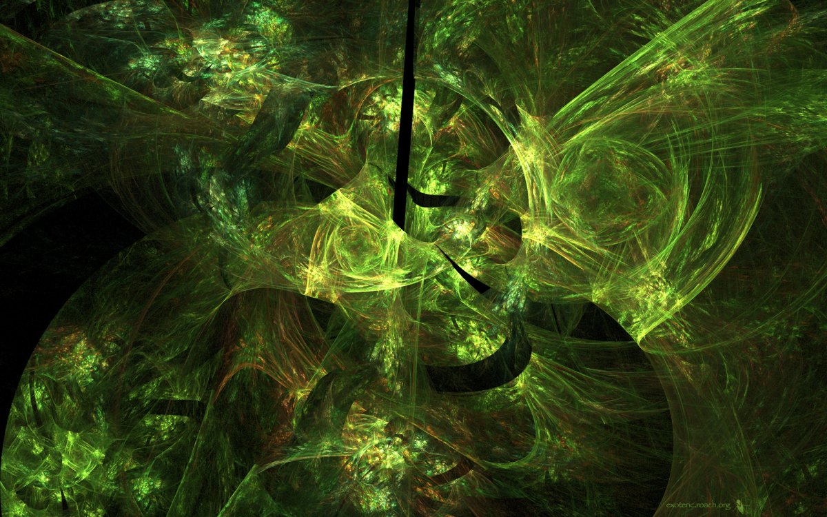 Лесная абстракция