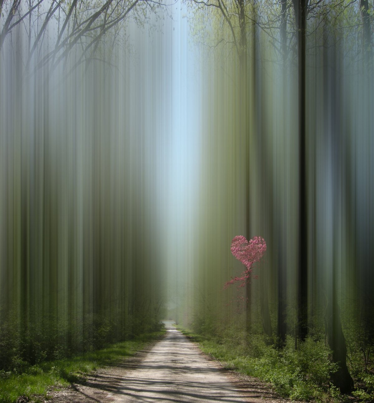 Абстрактная природа